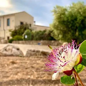 Pantanelli Di Vendicari Casa Maccari